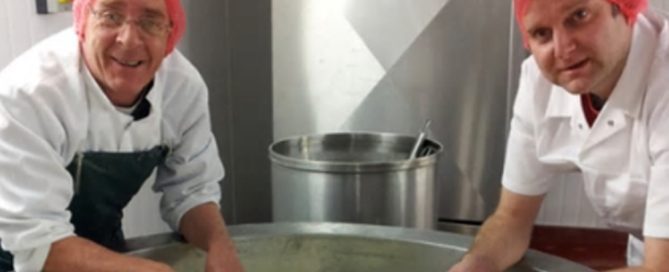 Salty the 50 years of Stilton Making