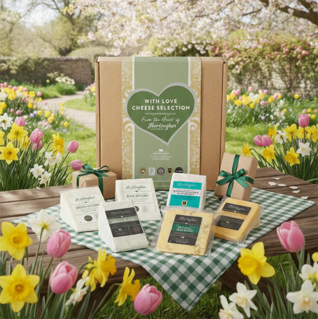 six of the best cheese spring